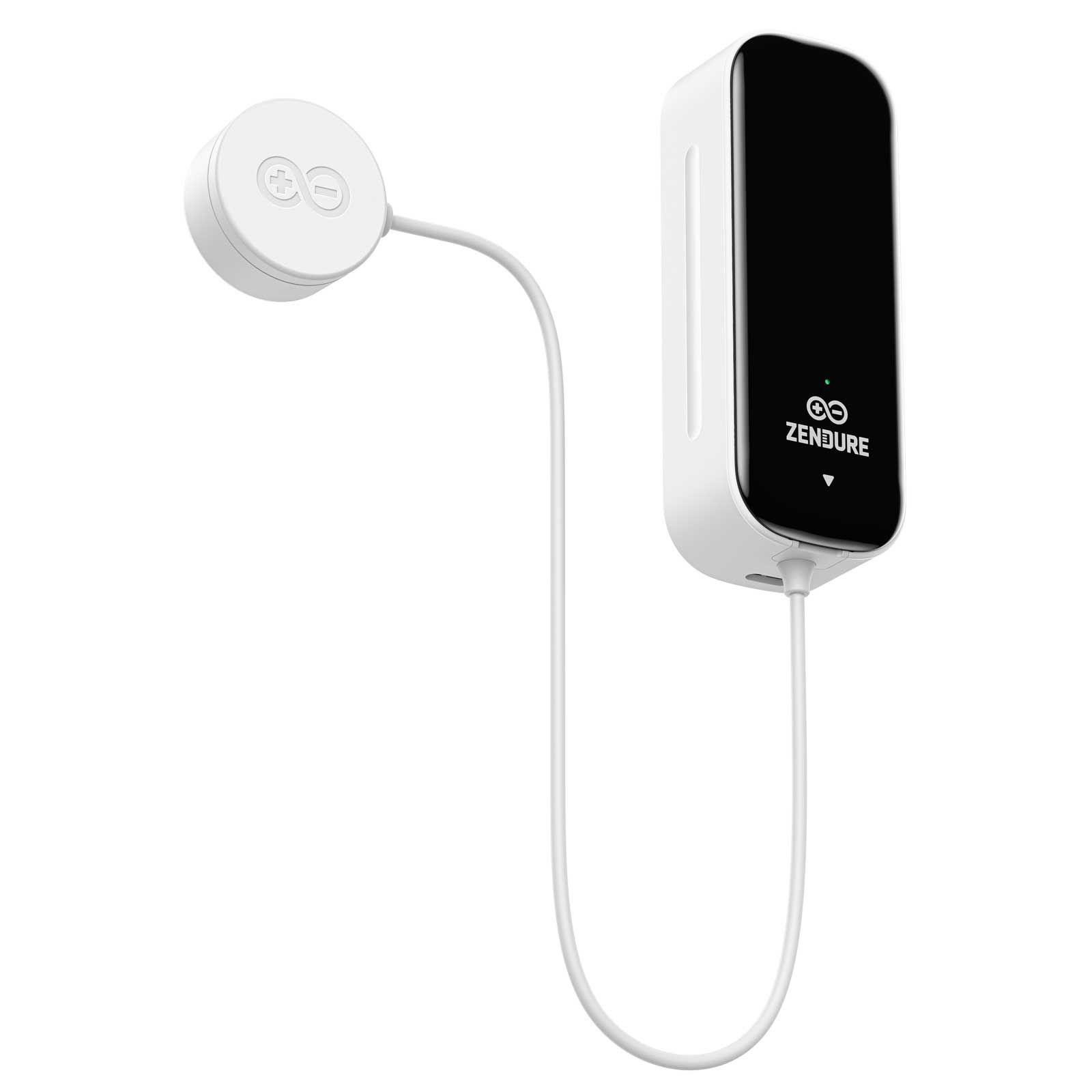 Zendure Smart Meter D0