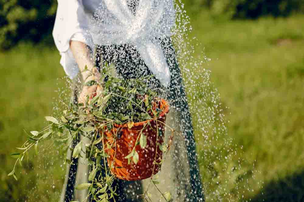 Garten bewässern