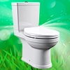 Toilette