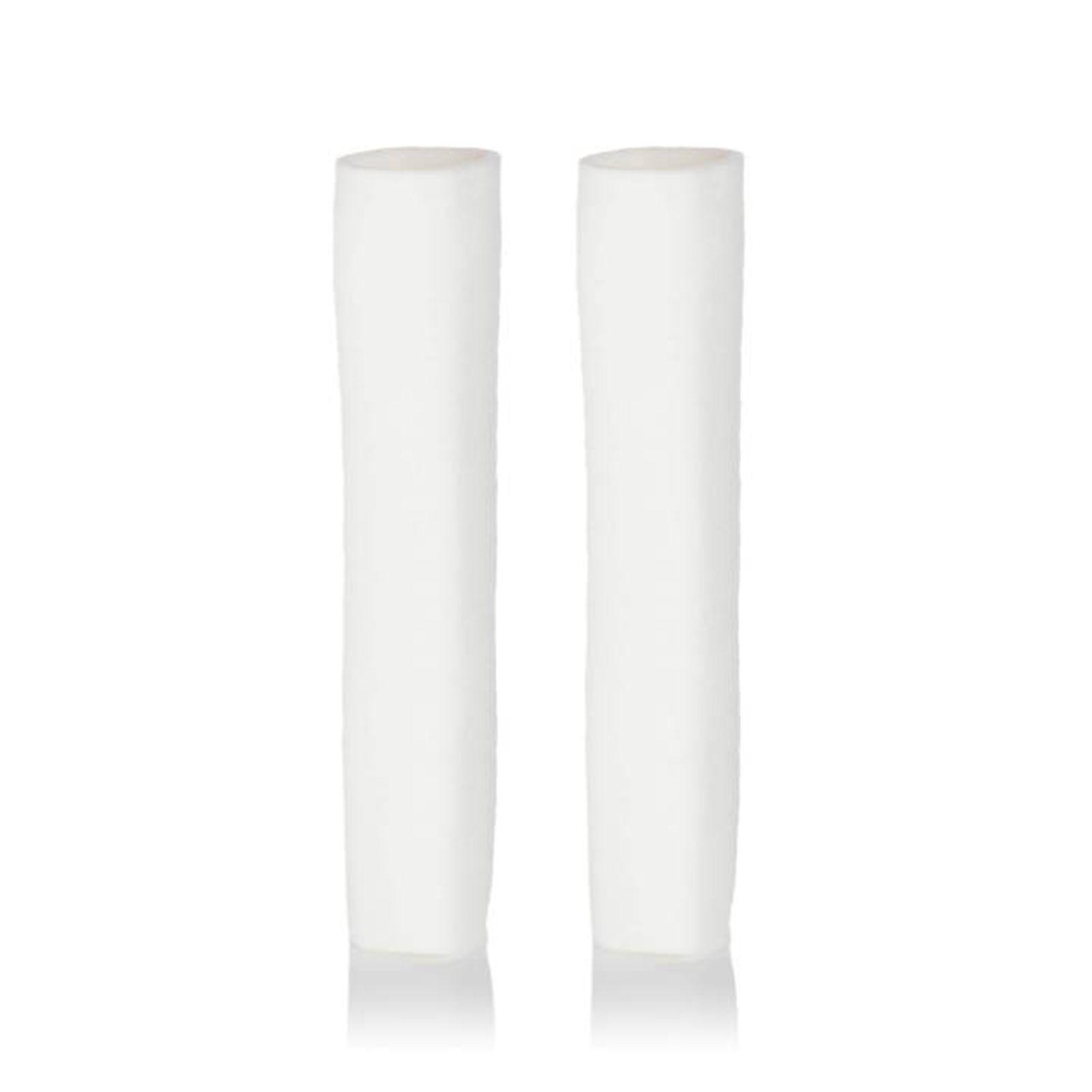 Grünbeck Ersatzfilter Geno 2" 80 µm, ohne Schutzglocke, Set mit 2 Stück
