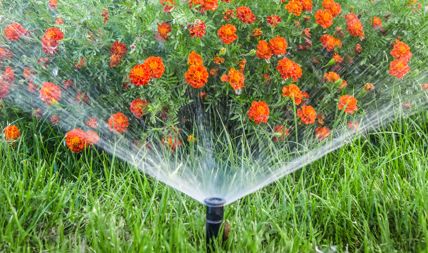 Gartenpumpe am Bewässern