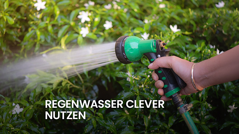 Blumen werden bewässert