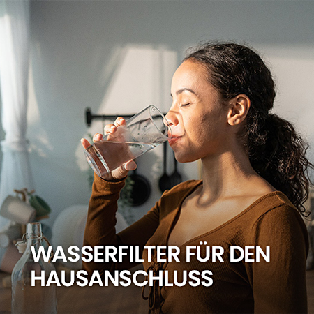 Wasserfilter für den Hausanschluss