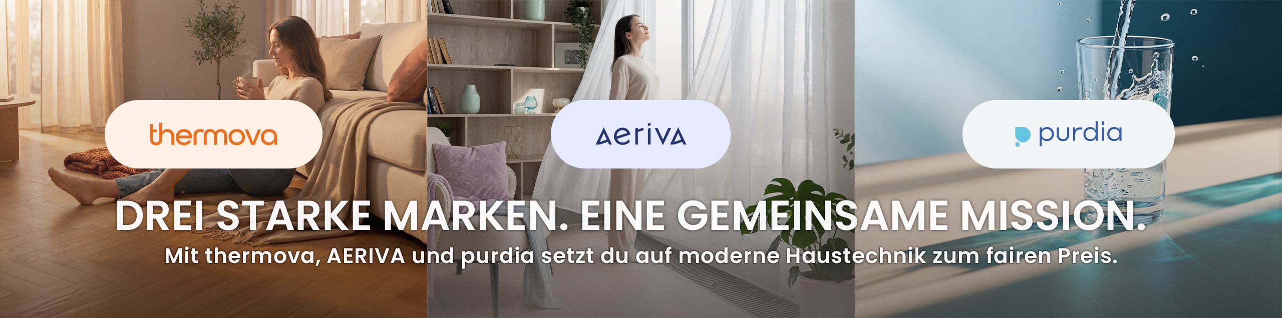 Preis-Leistungs-Sieger