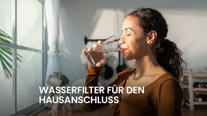 Wasserfilter für den Hausanschluss