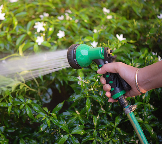 Blumen werden bewässert