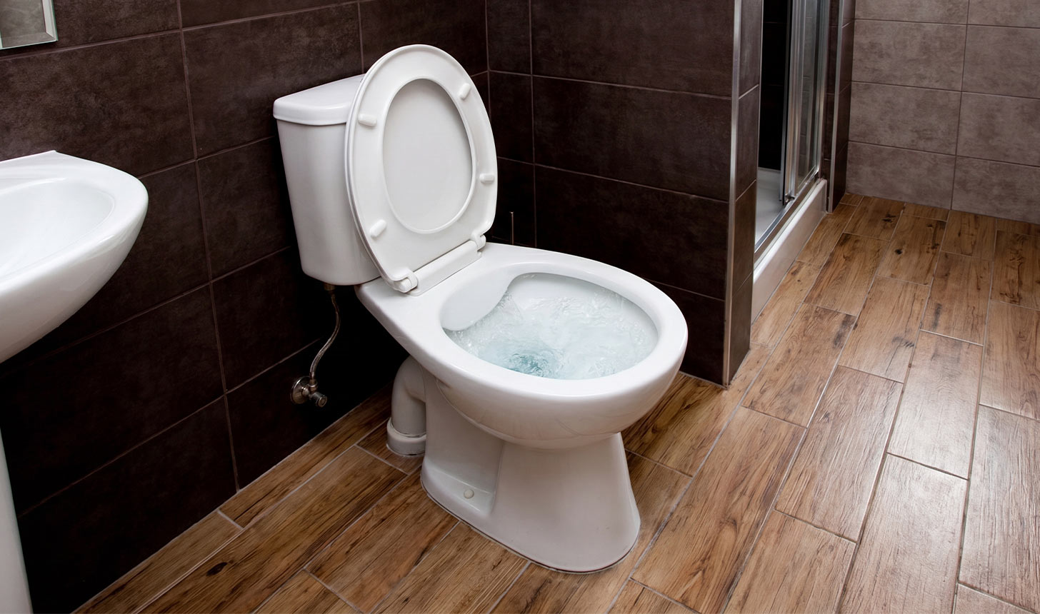 Teilweise mit KI bearbeitet: Toilette mit hochgeklapptem Toilettensitz