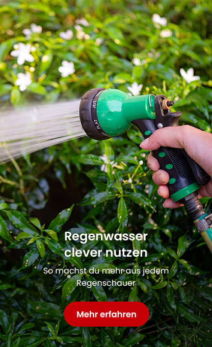 Regenwasser clever nutzen