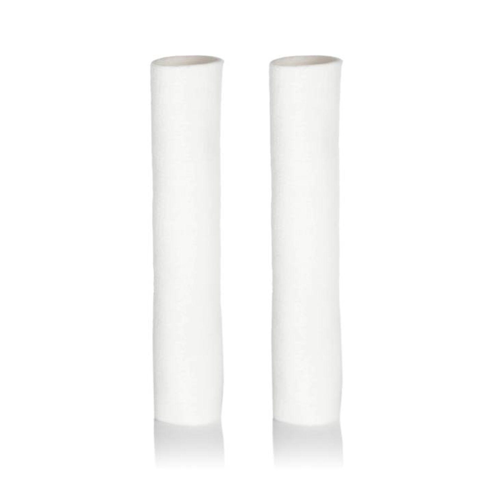 Grünbeck Ersatzfilter Geno 2" 50 µm, ohne Schutzglocke, Set mit 2 Stück