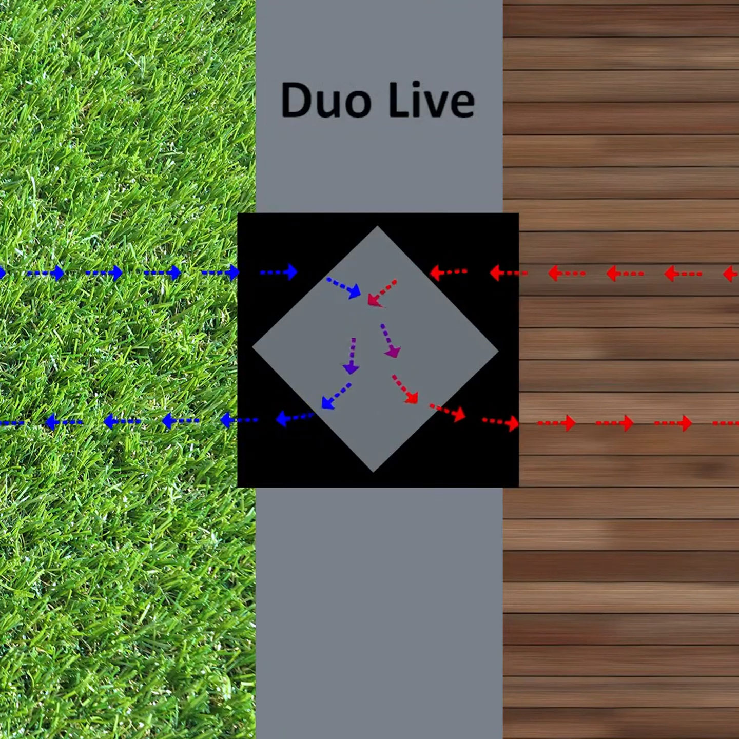 Duo Live