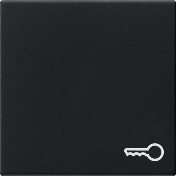 Gira Kontrollwippe Schalter schwarz mit System 55 0287005 Schl/Tür