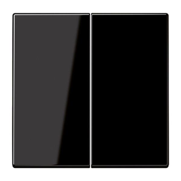 Jung Wippe_2t Schalter schwarz glänzend LS 995 SW für Bussystem