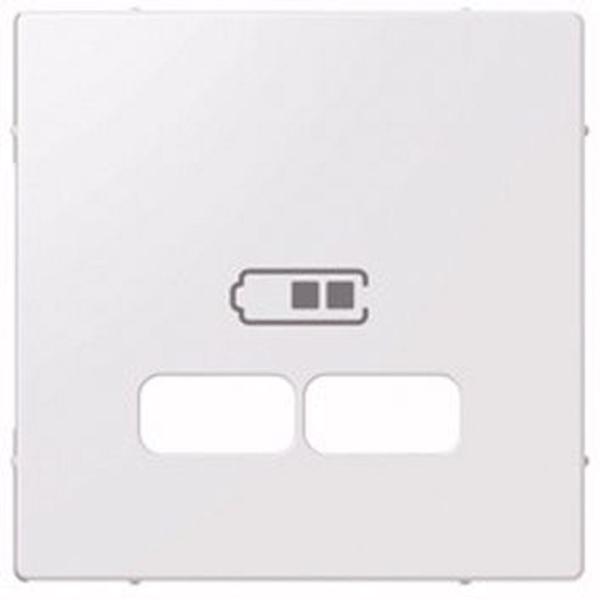 Merten Zentralplatte USB 2-fach polarweiß glänzend MEG4367-0319 Klemmbef mit Aufdr