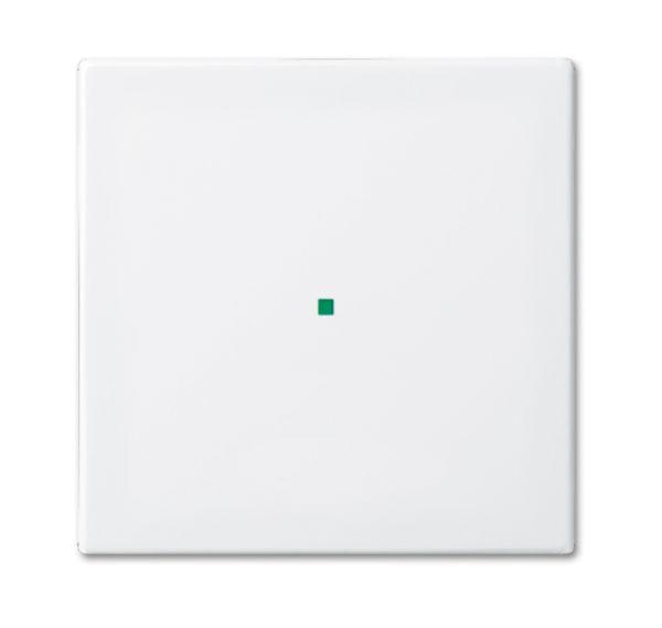 Busch-Jaeger 6230-10-914 Wippe 1-fach, ohne Bedruckung