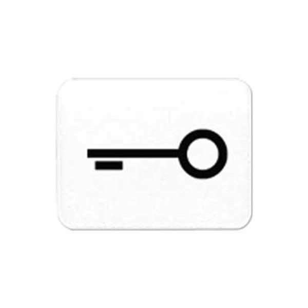 Jung Schalter-Symbol Schl/Tür alpinweiß all 33 T WW