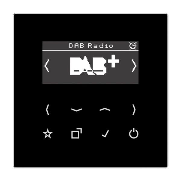 Jung Radio RDS schwarz digi 1Weck 16speich LS DAB SW mit NT UKW-Empfänger