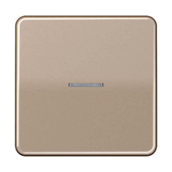 Jung Kontrollwippe Schalter go/brz glänzend CD 590 KO5 GB