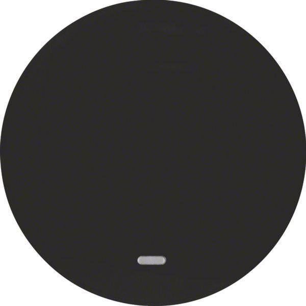 Berker 16212045 Wippe mit klarer Linse R.1/R.3 schwarz, glänzend