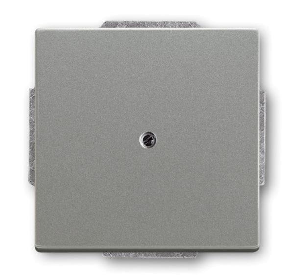 Busch-Jaeger 1742-803 Blindzentralscheibe mit Tragring