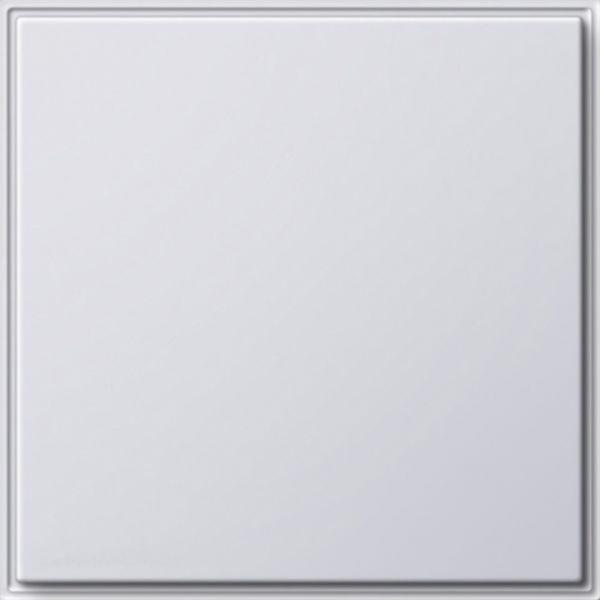 Gira Zentralplatte Blindabd weiß TX 44 026866 Schraubbef