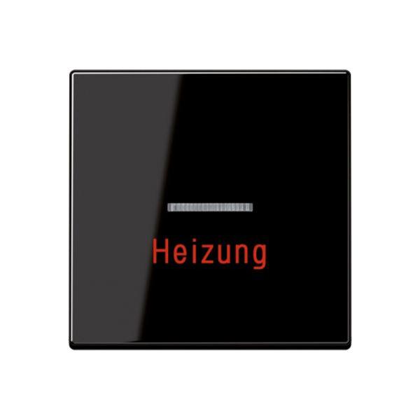 Jung Kontrollwippe Schalter schwarz glänzend A 590 H SW