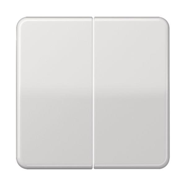 Jung Wippe_2t Schalter lgrau glänzend CD 595 LG
