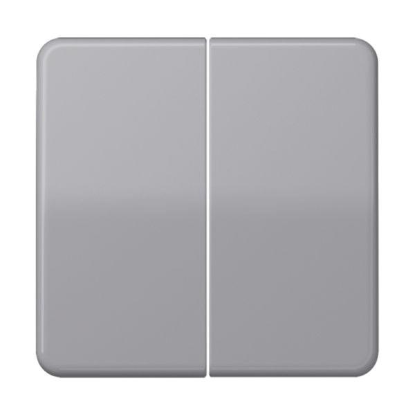 Jung Wippe_2t Schalter grau glänzend CD 595 GR