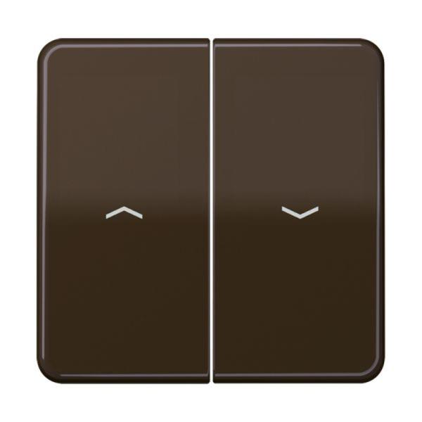 Jung Wippe 2t Jalousie br glänzend Pfeile CD 595 P BR