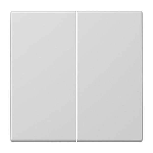 Jung Wippe_2t Schalter lgrau glänzend LS 995 LG für Bussystem