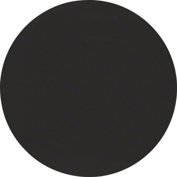 Berker 16202045 Wippe R.1/R.3 schwarz, glänzend