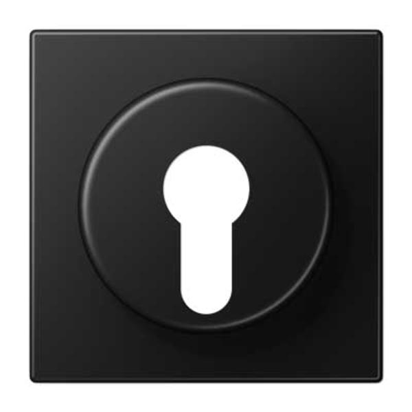 Jung Abdeckung Schlüssel gra-schwarz mit LS 928 SWM Hotelcard
