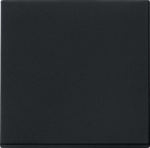 Gira Wippe Schalter schwarz mit System 55 0296005