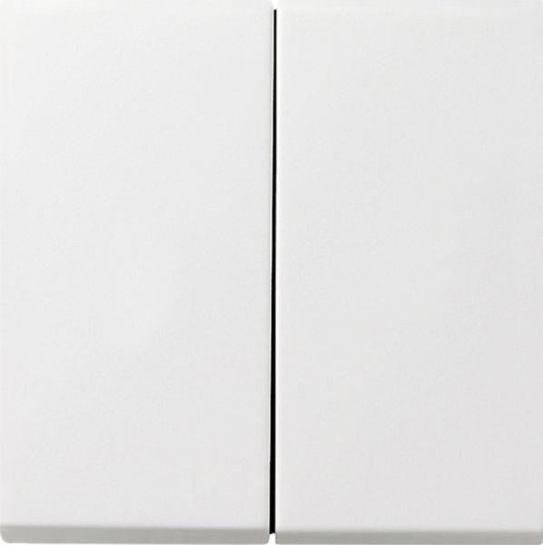 Gira Wippe 2t Schalter reinweiß glänzend Fläche 0295112