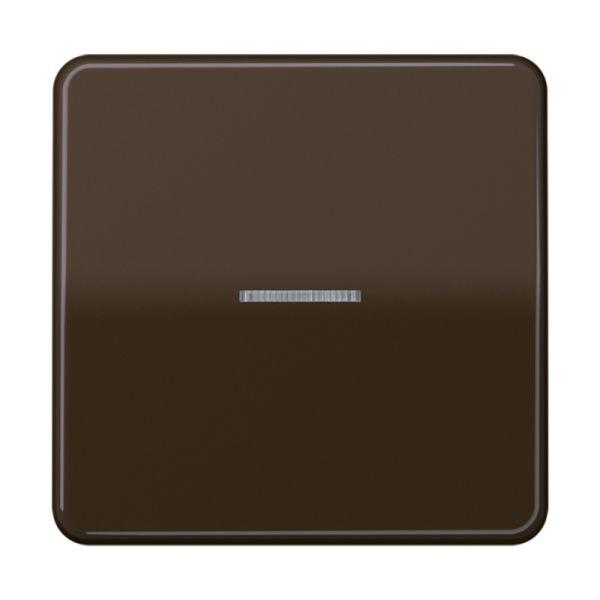 Jung Kontrollwippe Schalter br glänzend CD 590 KO5 BR