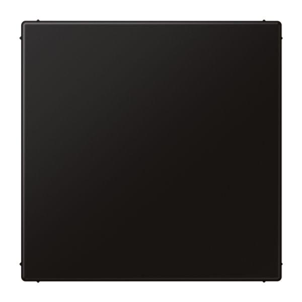 Jung Blindplatte Blende schwarz mit LS 994 B SWM